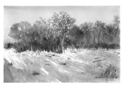 Hanien Conradie - Magic At Mogonye, Botswana
